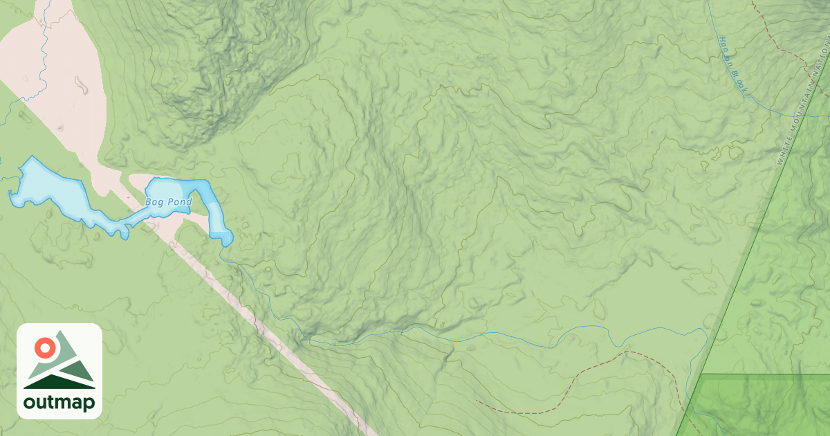 Map of Bog Pond  Snomo
