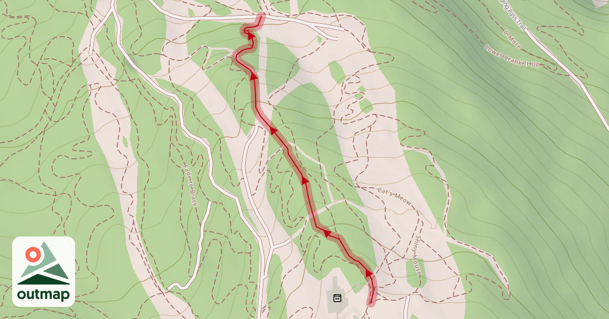 Map of Schleyer