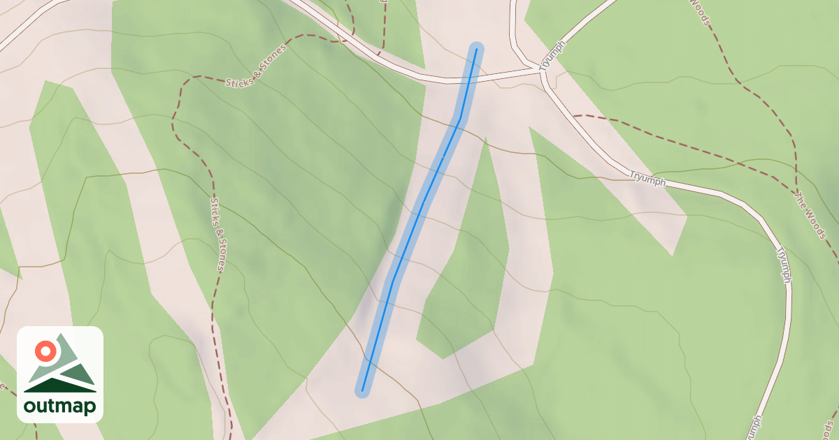 Map of Cat's Face