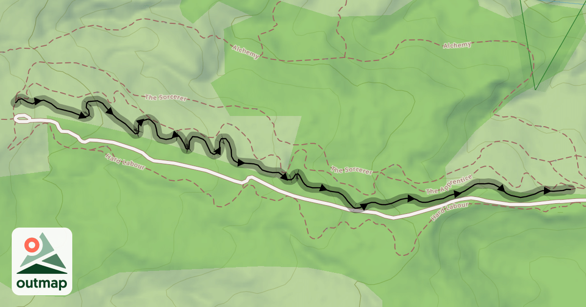 Map of Skills Track