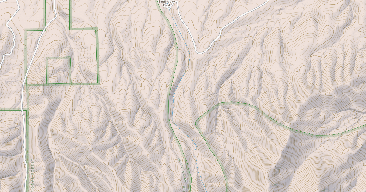 Map preview of USFS National Forest System Roads {1767C346-A362-458B-978D-1BA72E5F4D90}