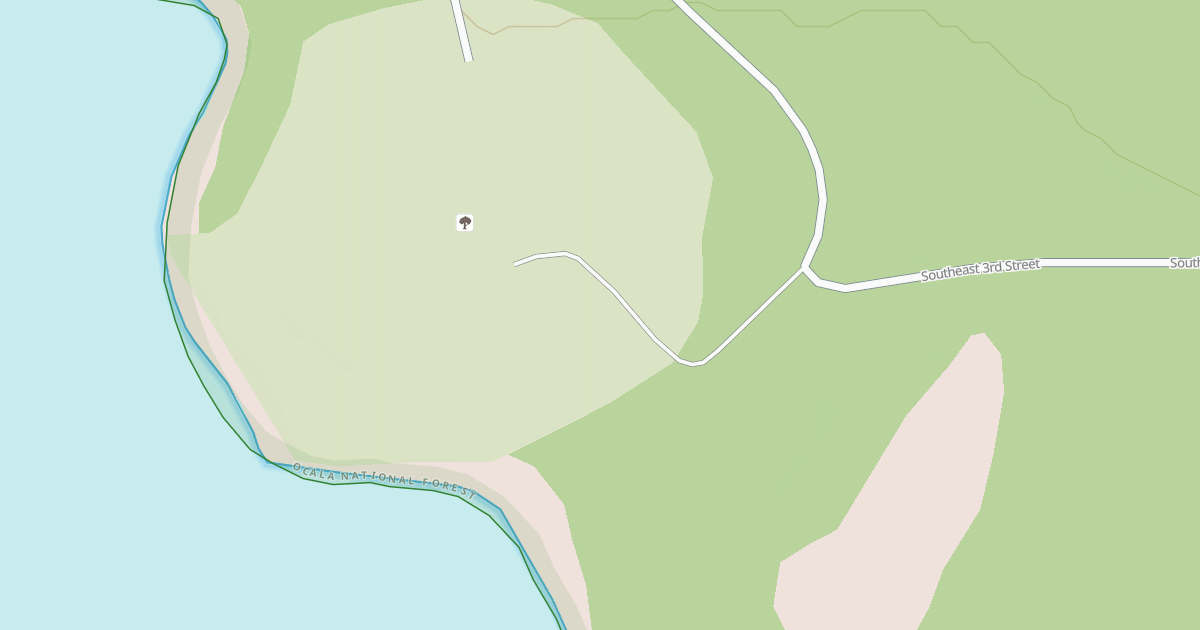 Map preview of USFS Motor Vehicle Use Map Roads {099751FC-72A1-4C19-8AB3-DD90A02C5733}