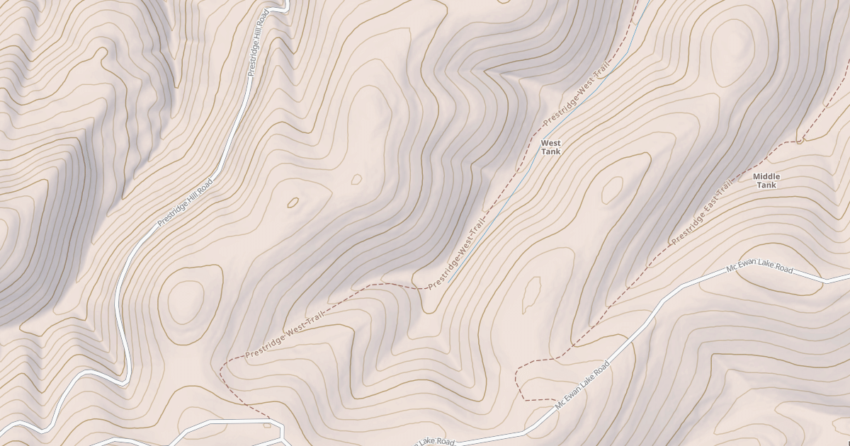 Map preview of PRESTRIDGE W.