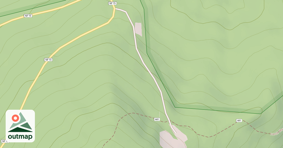 Map of USFS National Forest System Roads {5D4387C0-9FC1-4929-9670-2FACB82B418E}