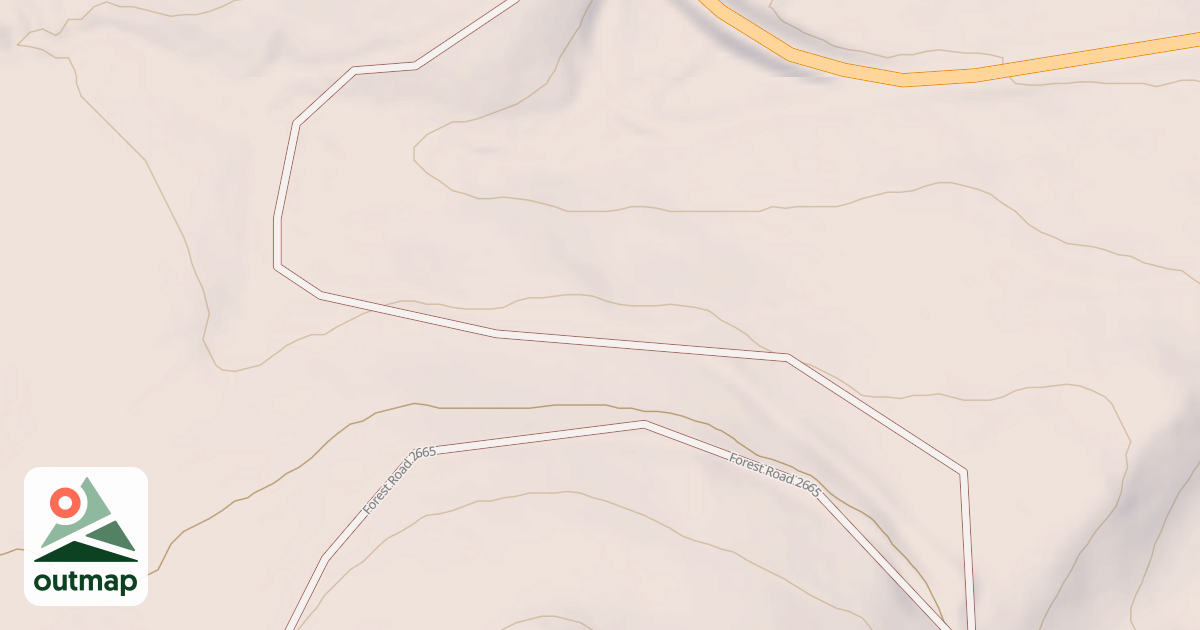 Map of USFS National Forest System Roads {25828C69-4BCE-4B08-B404-A81F16268EE8}