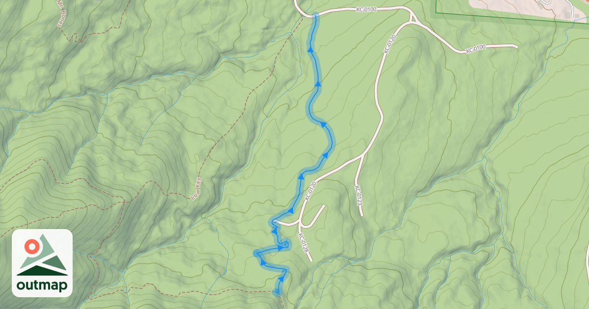 Map of Slick Jimmy (lower)