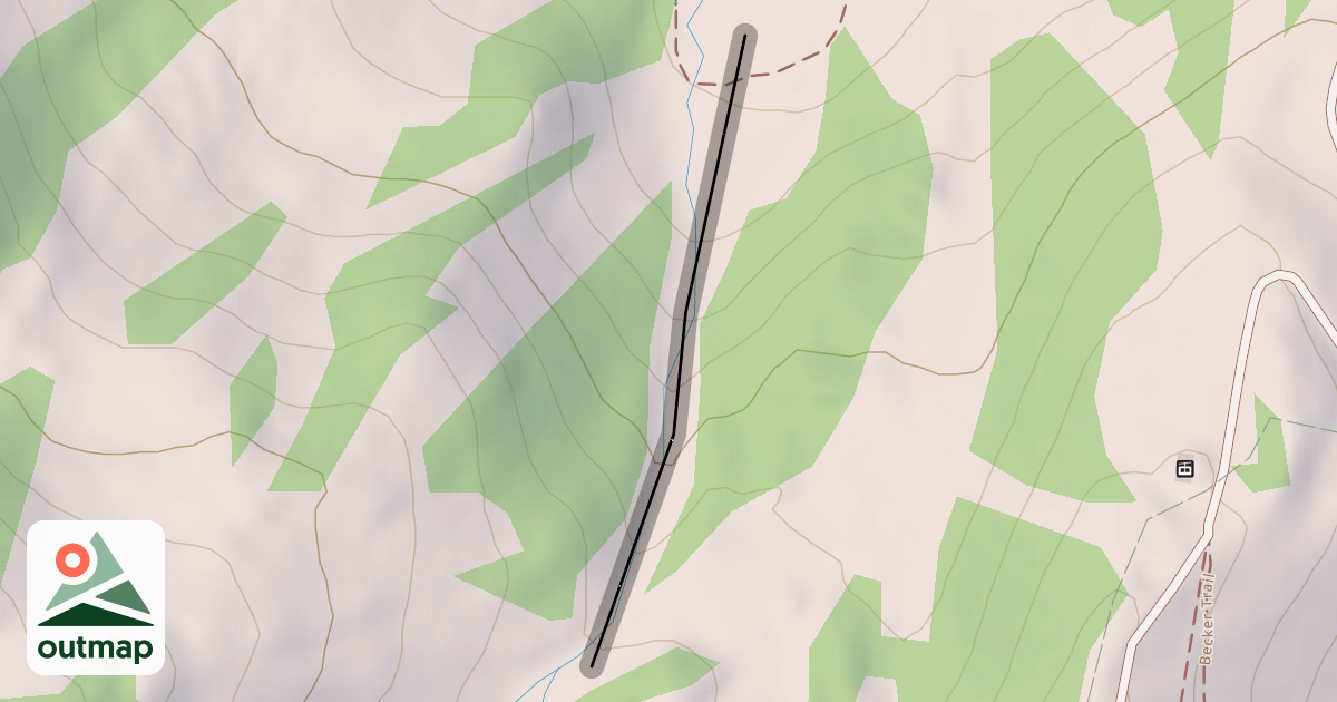 Map of LMM