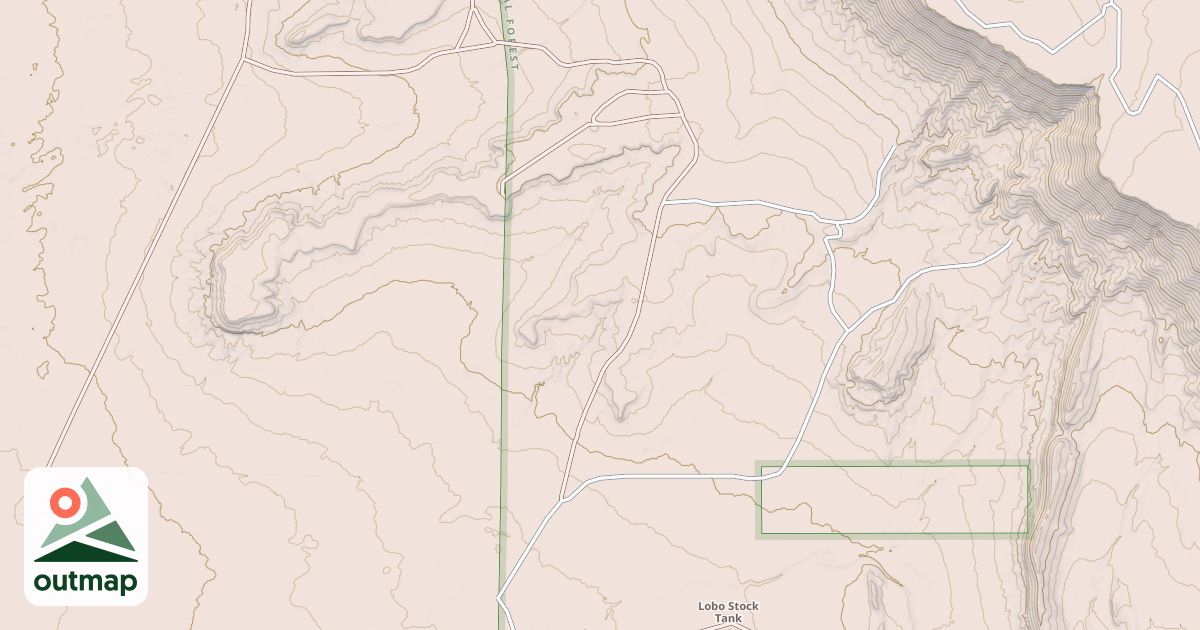 Map of USFS National Forest System Roads {FCDA7A2B-B6BE-49DF-ACB0-8FF9B470E03F}