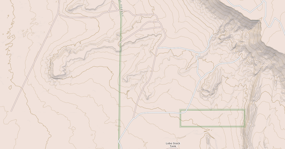 Map preview of USFS National Forest System Roads {FCDA7A2B-B6BE-49DF-ACB0-8FF9B470E03F}