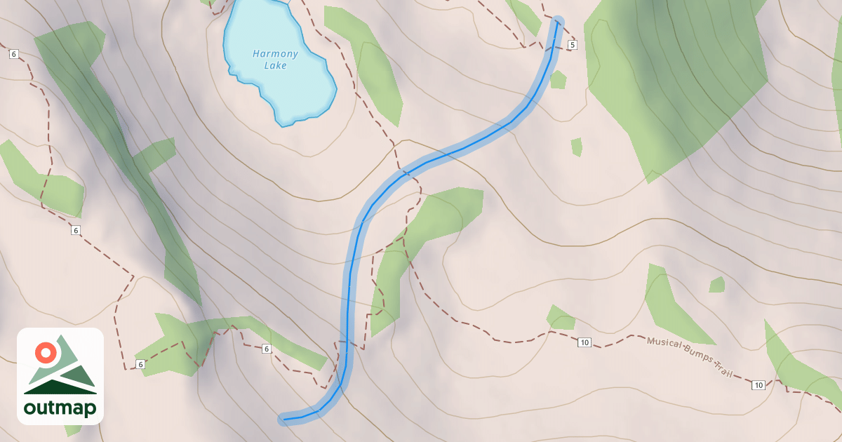Map of Big Daddy