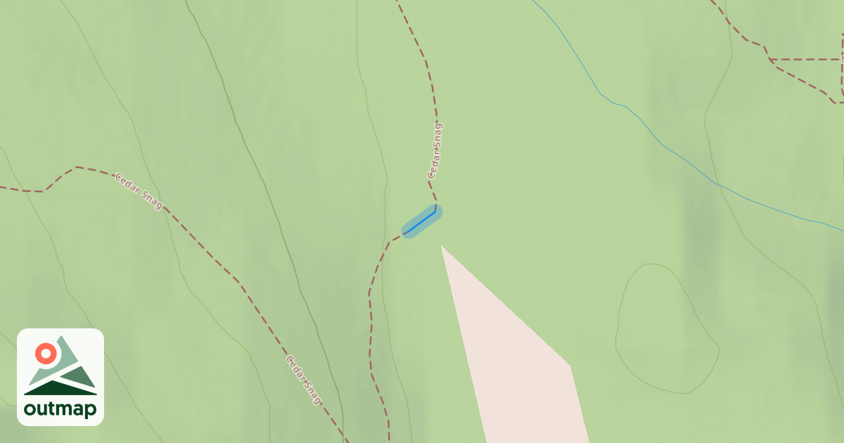 Map of Cedar Snag