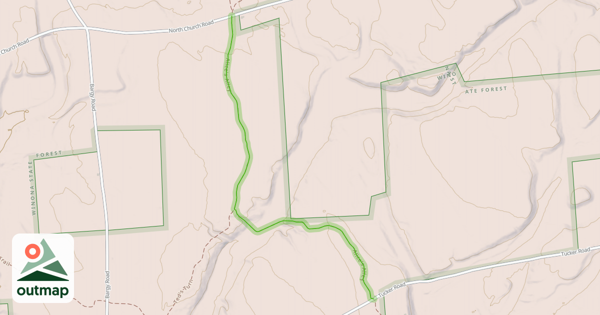 Map of Alice's Alley