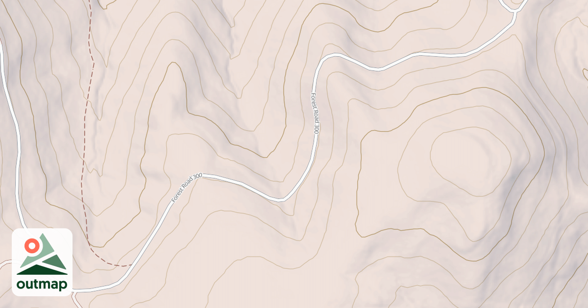 Map of USFS National Forest System Roads {A3426CB8-A10C-4C94-B944-A690152D672D}