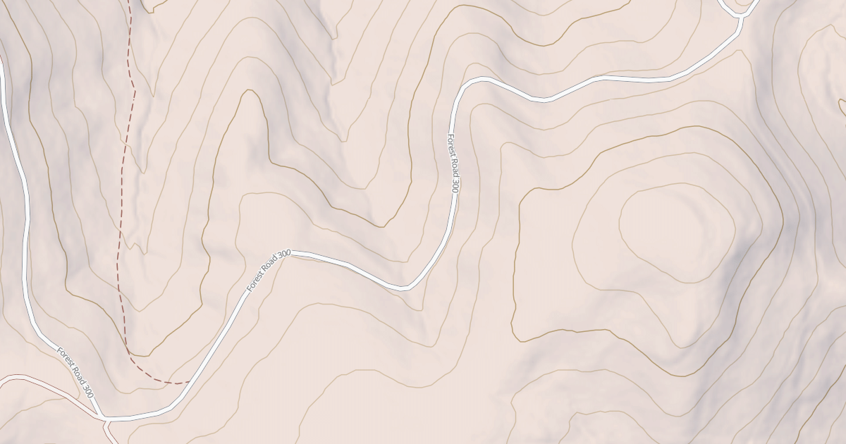 Map preview of USFS National Forest System Roads {A3426CB8-A10C-4C94-B944-A690152D672D}