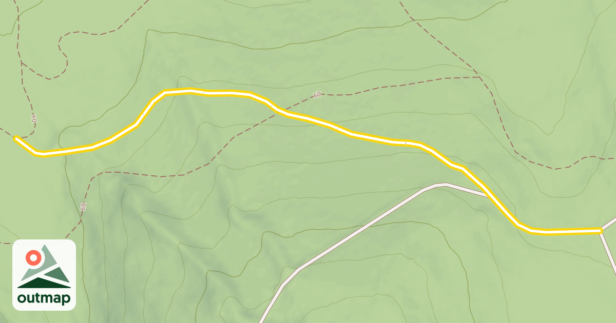 Map of 11