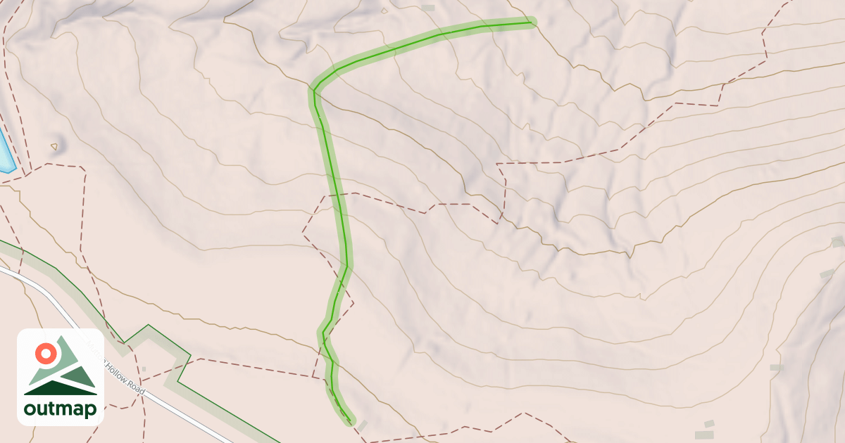 Map of Tannenbaum