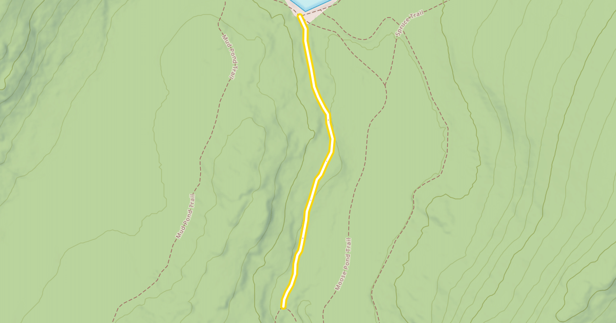 Map preview of Mud Pond Trail