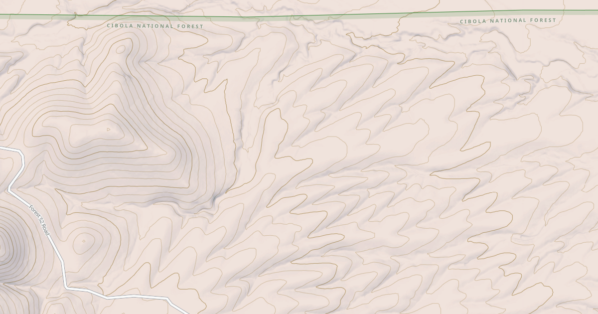Map preview of USFS National Forest System Roads {623DA4C3-4BCF-4787-87F0-BAEC1D6E9524}
