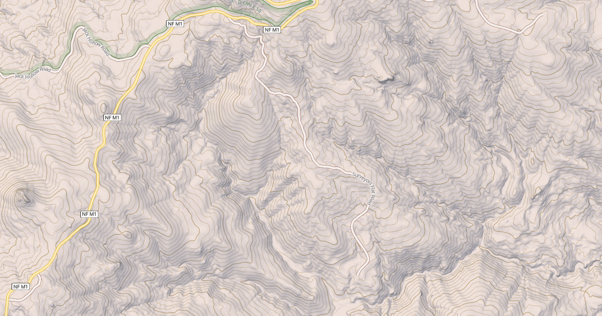Map preview of SURVEYORS FLAT