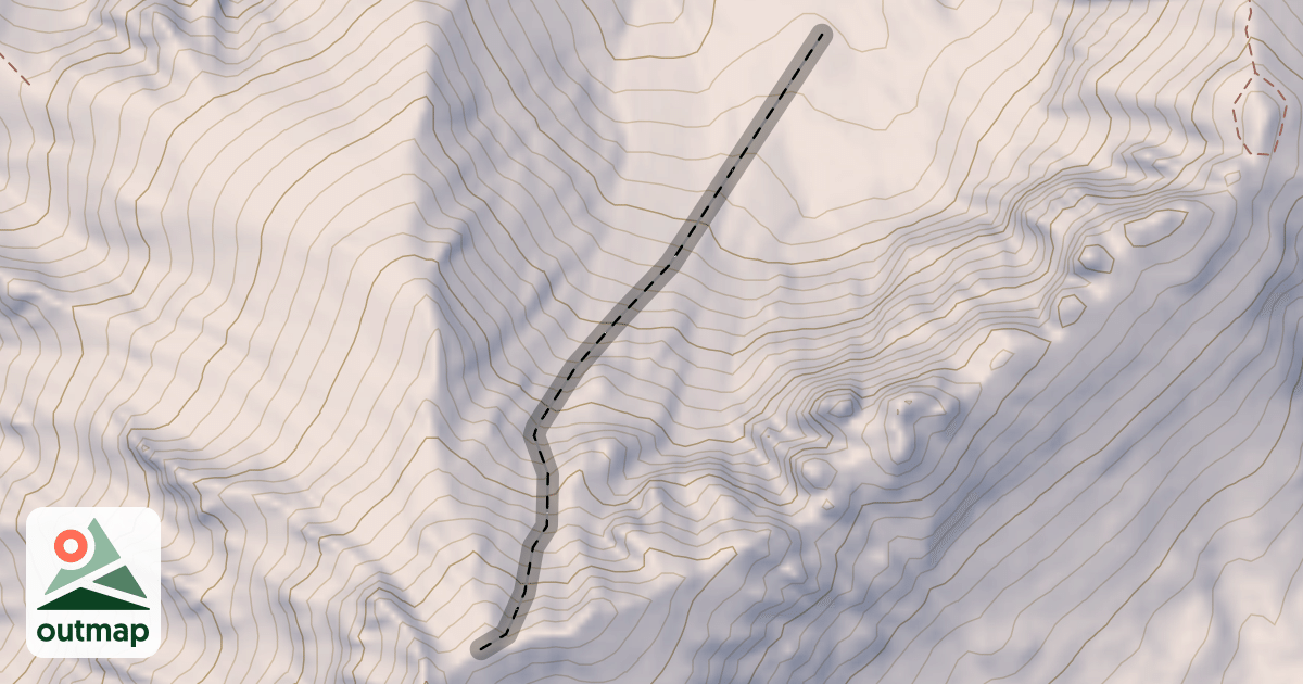 Map of Senior's
