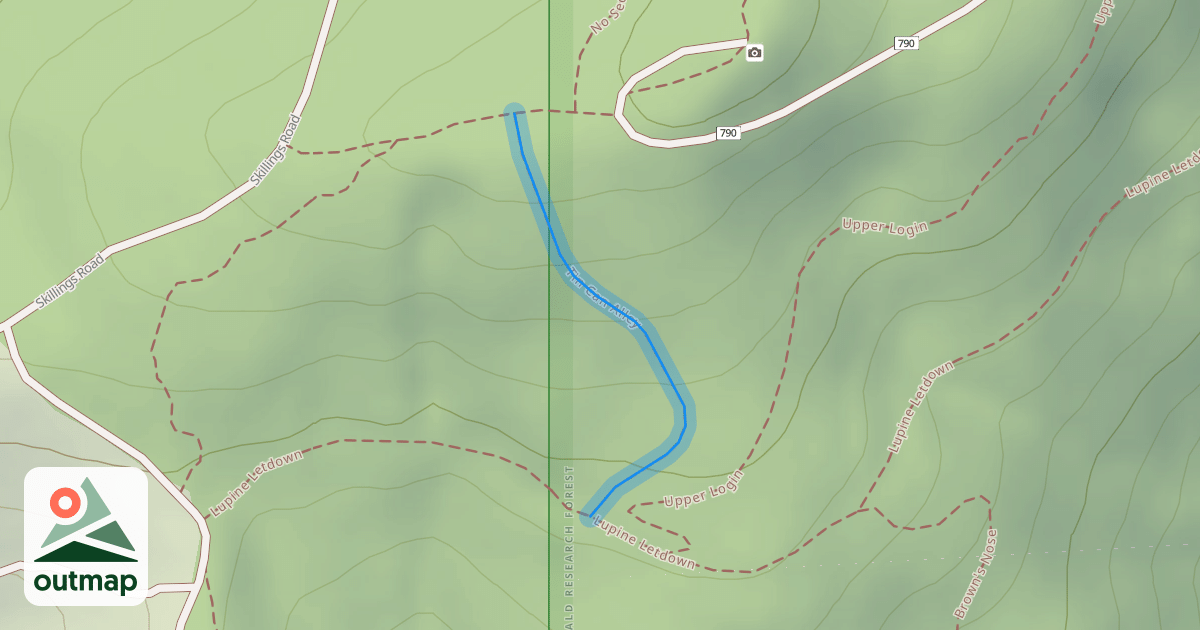 Map of Tin Can Alley