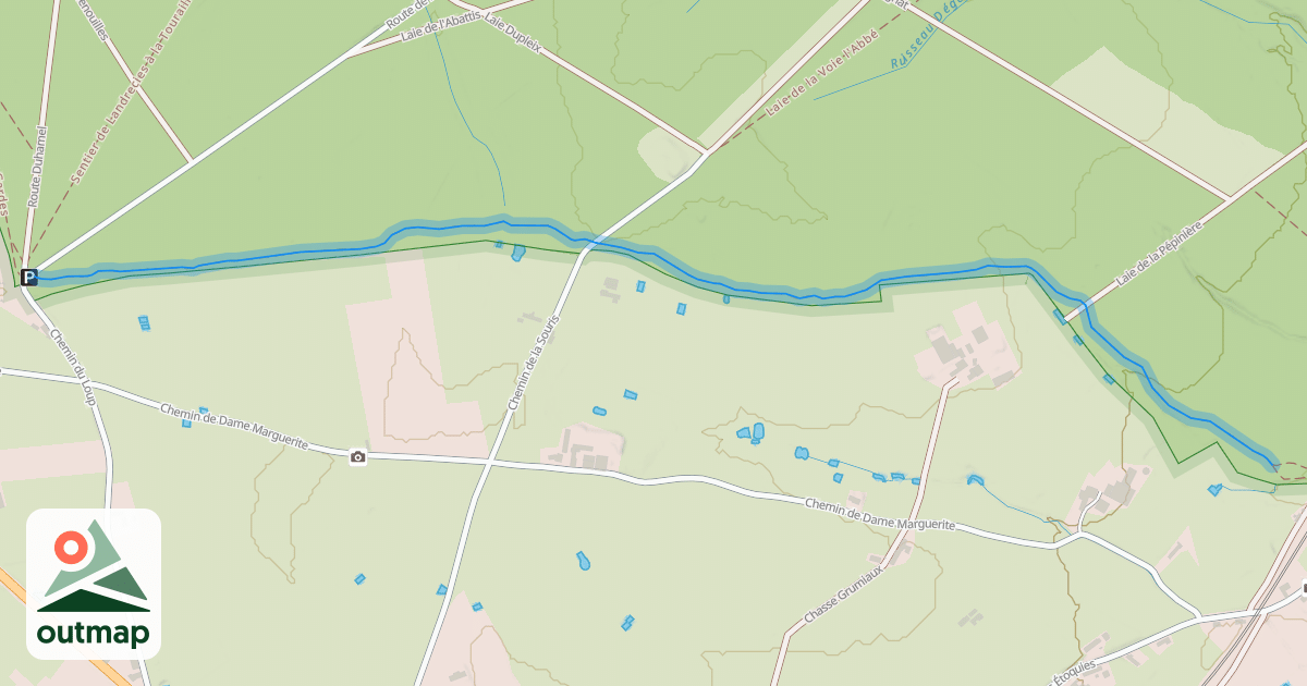 Map of Single Dupleix