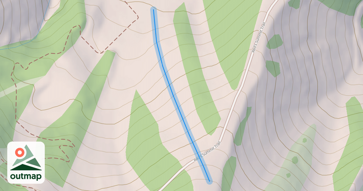 Map of Wild Flower