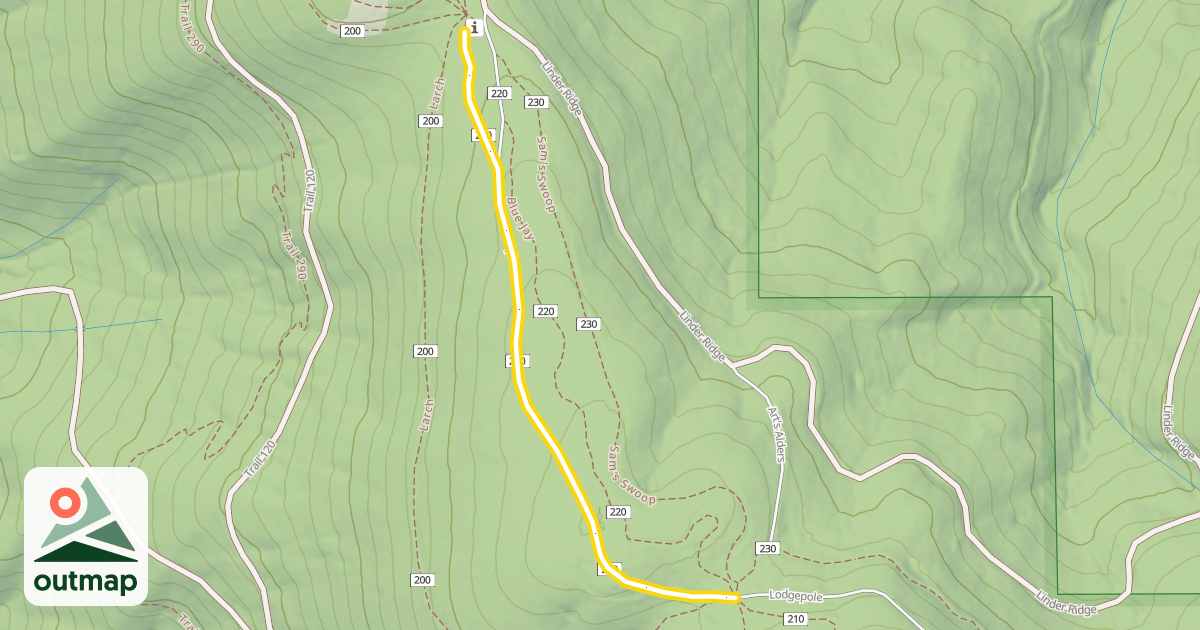 Map of Alpine