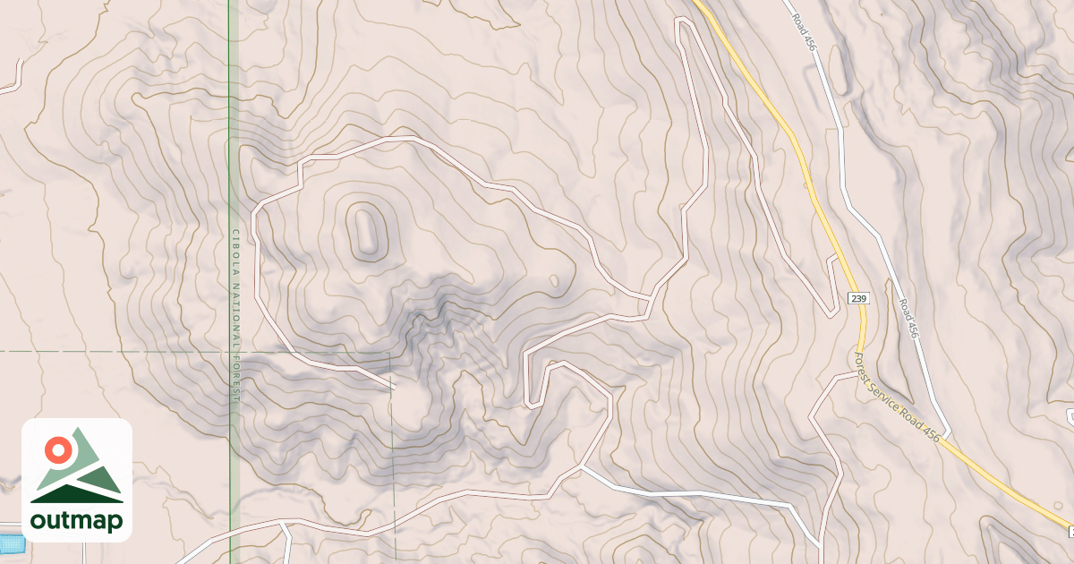 Map of USFS National Forest System Roads {8D23D873-607D-4050-9EF8-47EA7A3926F9}