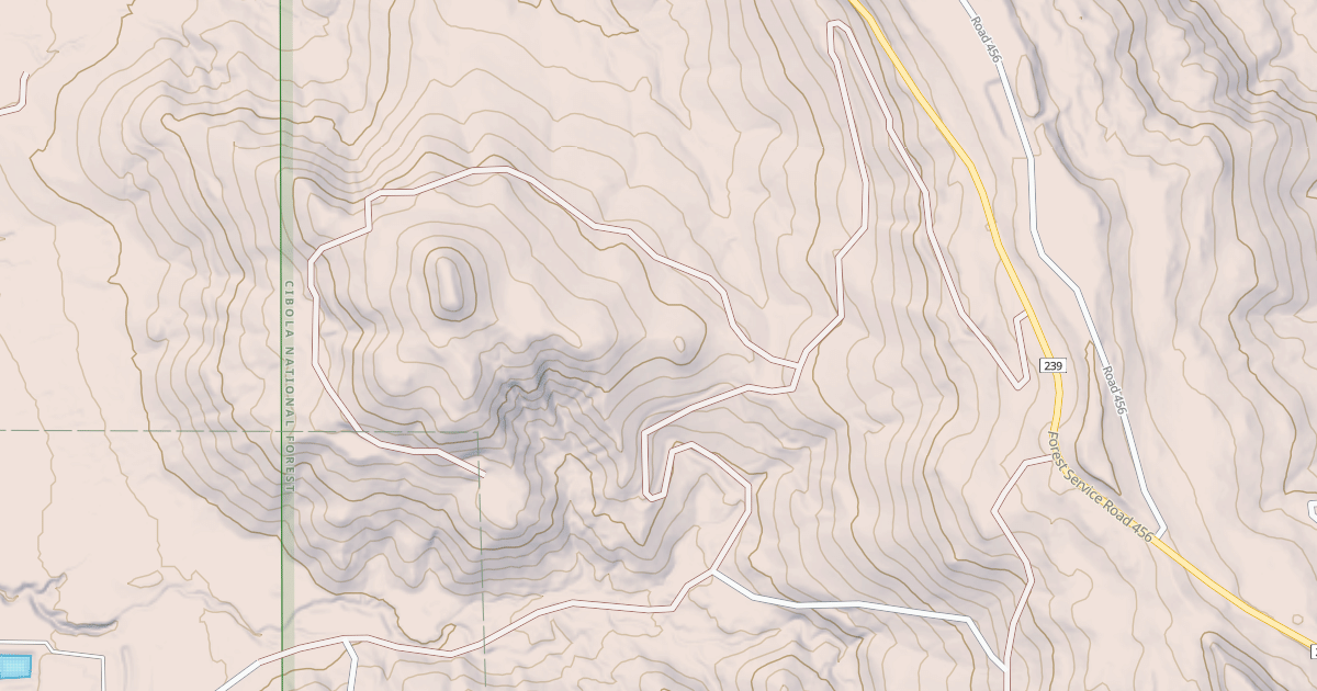 Map preview of USFS National Forest System Roads {8D23D873-607D-4050-9EF8-47EA7A3926F9}