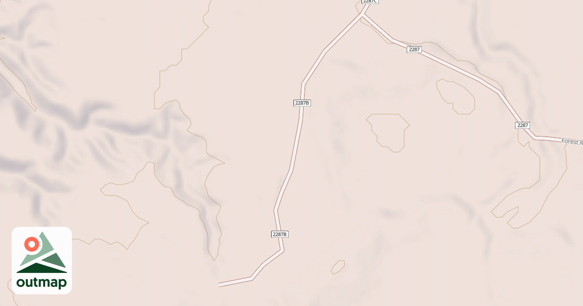 Map of USFS National Forest System Roads {68E7D51F-9CDD-46A4-8CFF-49DD1714AF9B}