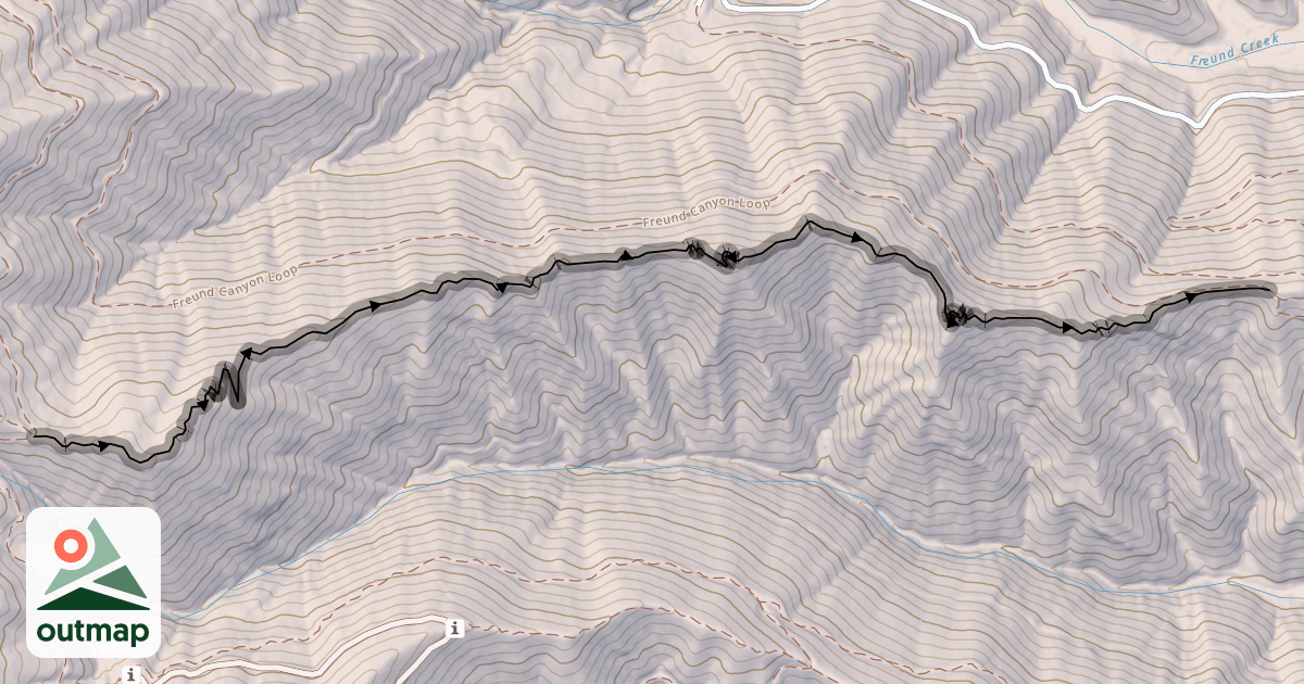 Map of Ribbed Trail