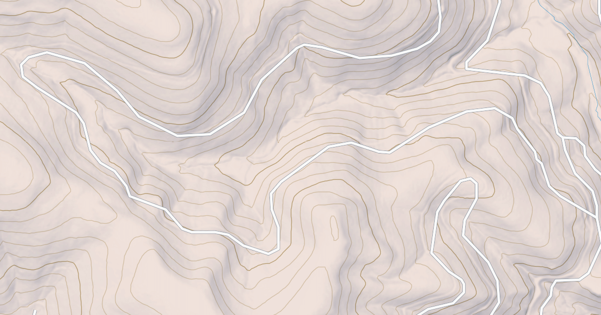 Map preview of USFS National Forest System Roads {755728F2-3F39-4EA4-AC78-8B8659DD9764}