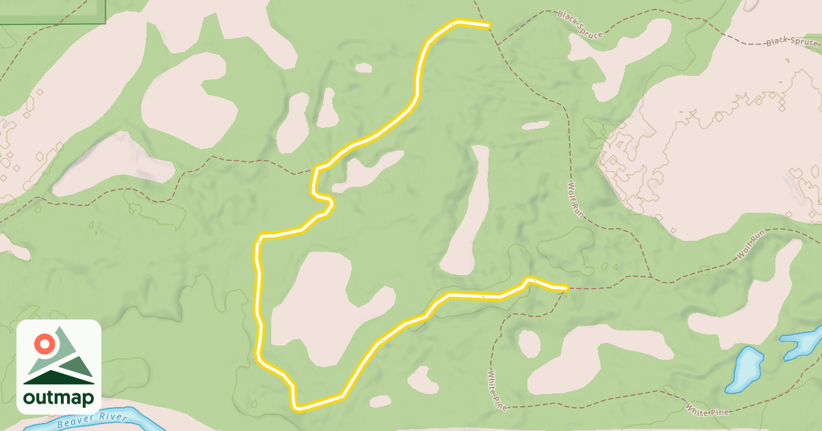 Map of Birch Ridge
