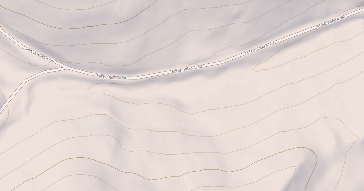 Map preview of USFS National Forest System Roads {0DE7416B-58B9-41D2-9F13-864348668BFD}