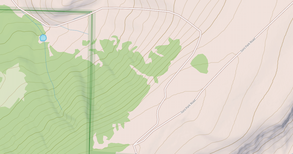 Map preview of BLM National GTLF Public Motorized Roads 628f4d2a-f486-4a11-a0ee-ed58bf768919