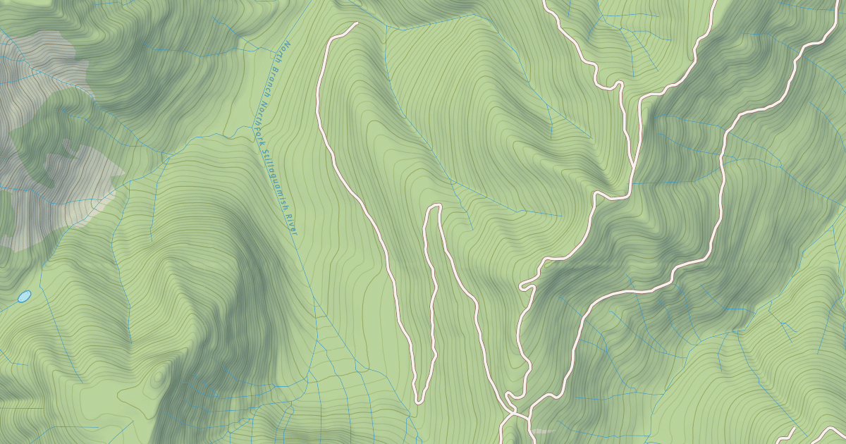 Map preview of N BRANCH OF N FORK
