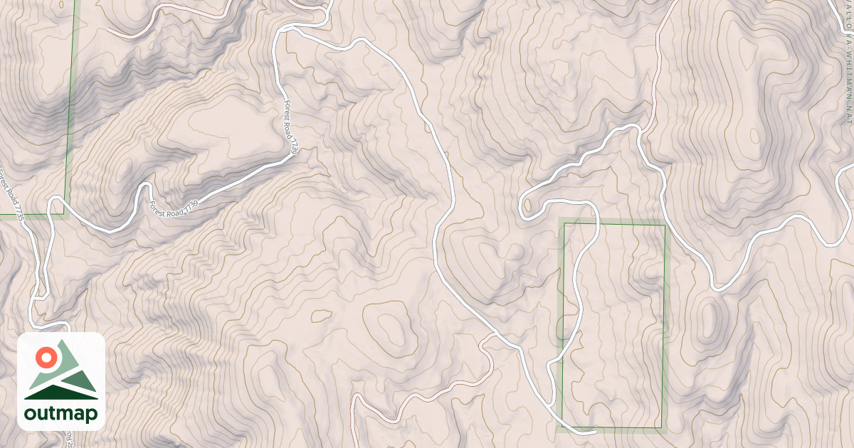 Map of USFS National Forest System Roads {006A7878-EF65-49DF-B555-F91A387DBFBB}