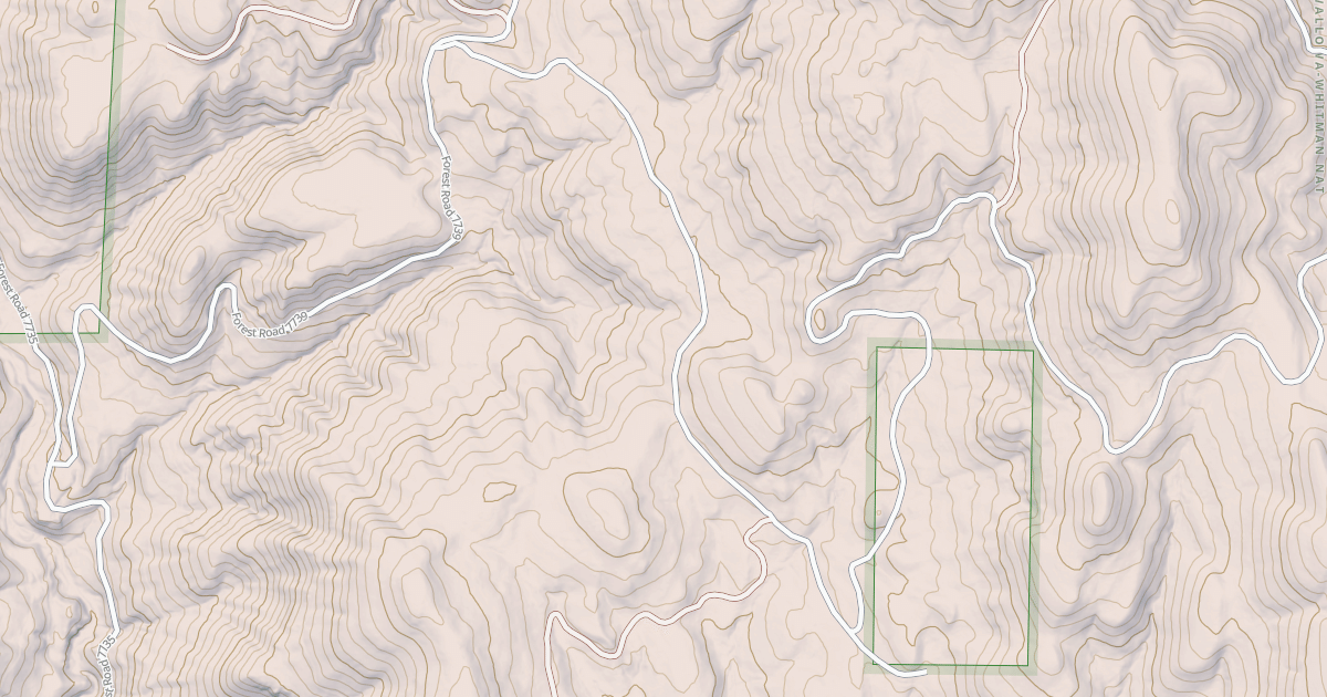 Map preview of USFS National Forest System Roads {006A7878-EF65-49DF-B555-F91A387DBFBB}