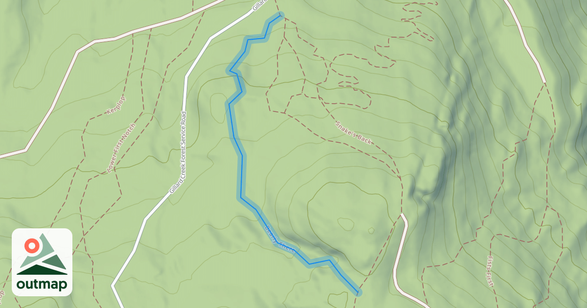 Map of Bearly There