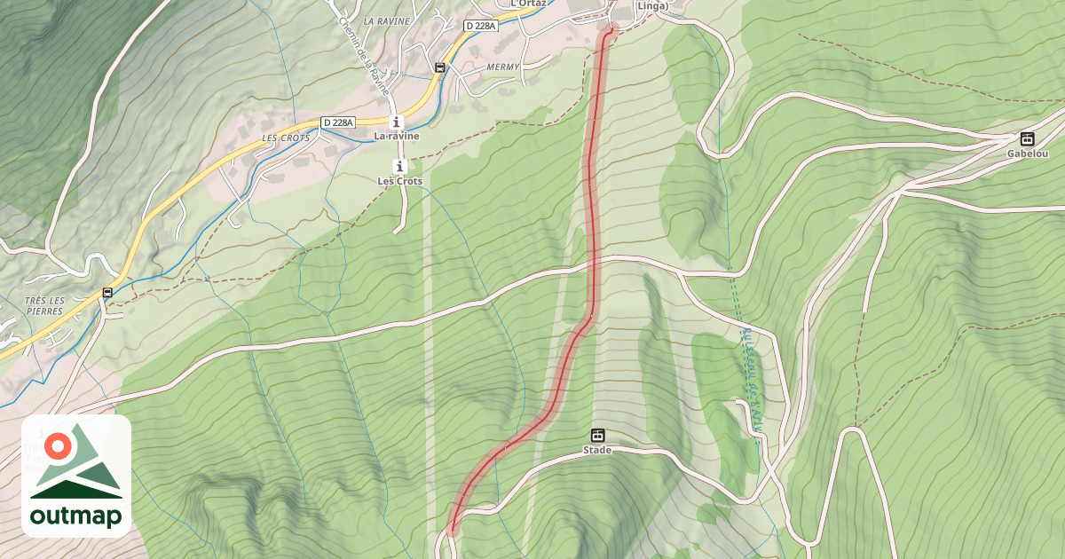 Map of Françoise Macchi