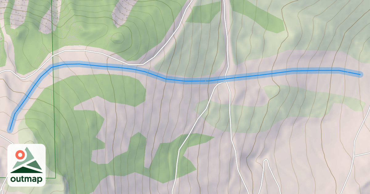Map of Silver Dollar