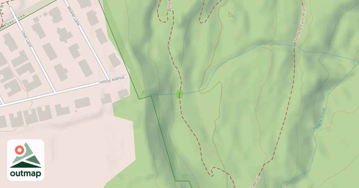 Map of Shady Lane