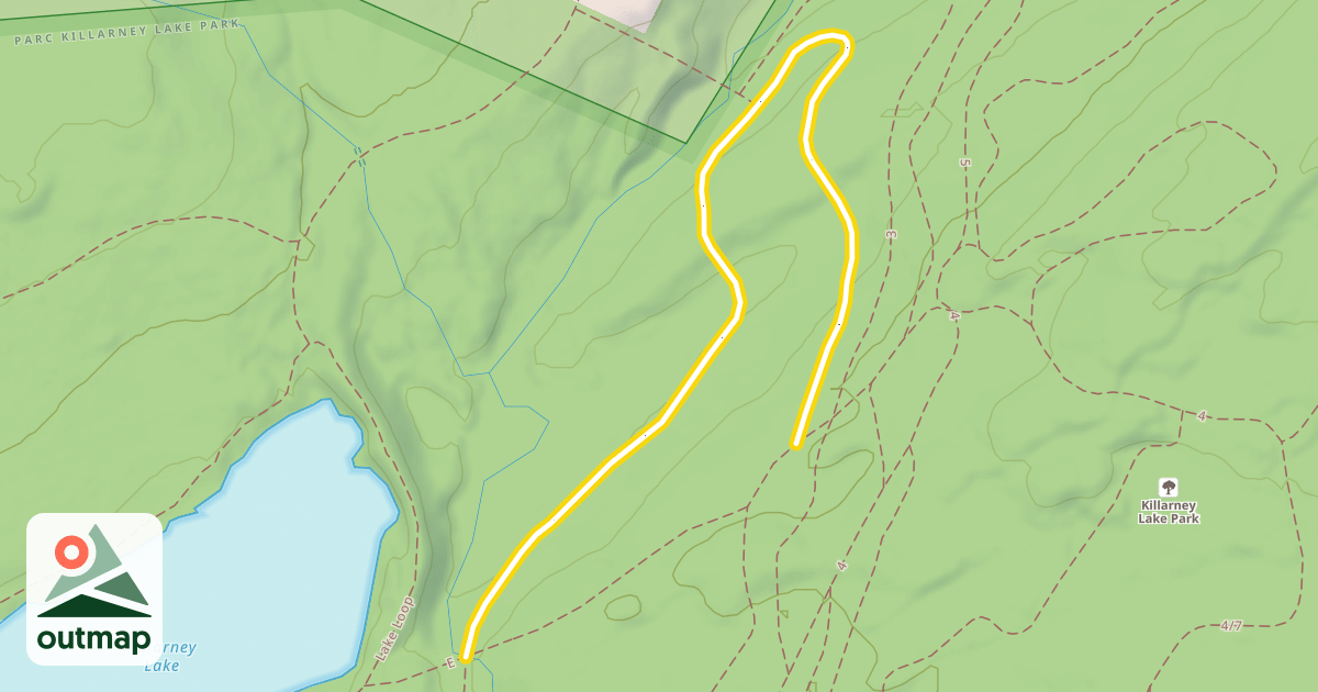 Map of 2