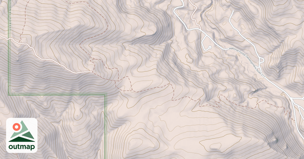 Map of Leaning Fir