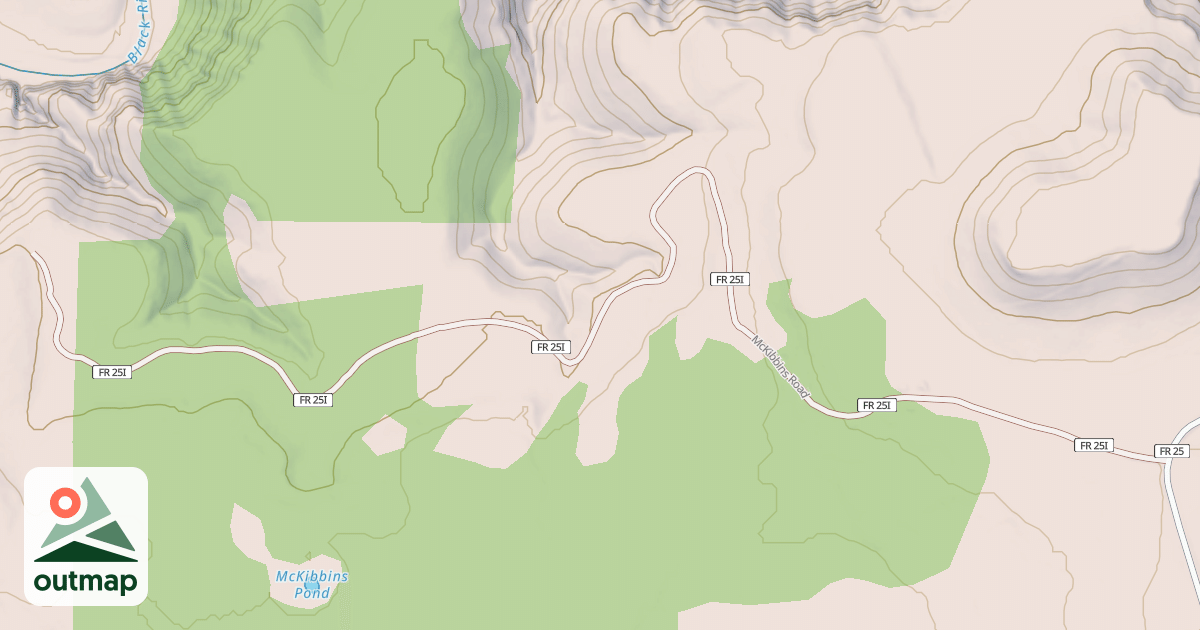 Map of MCKIBBINS TS.