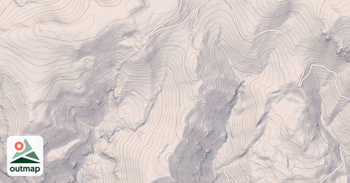 Map of FIR TREE
