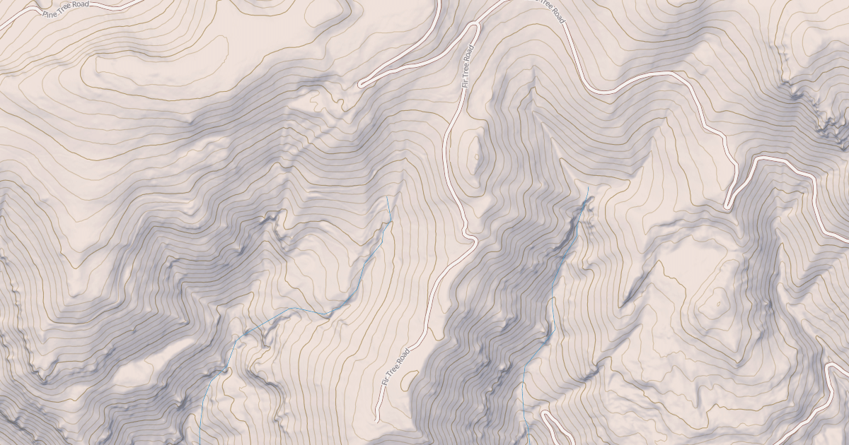 Map preview of FIR TREE
