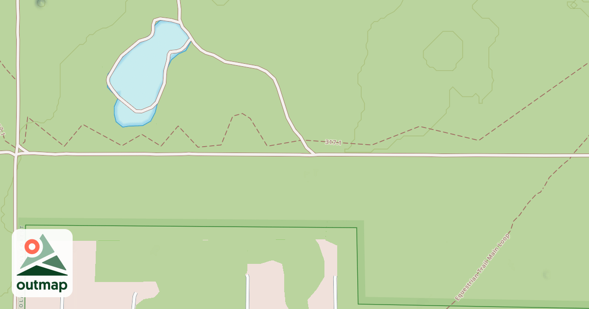 Map of USFS Motor Vehicle Use Map Roads {0E80419C-4B06-4127-BF3F-D725A9FDD13F}