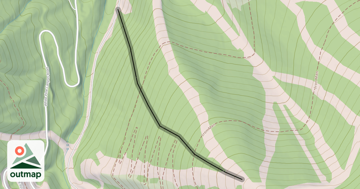 Map of Platinum Woods